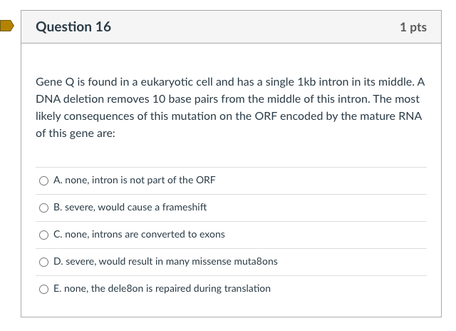 Solved Gene Q Is Found In A Eukaryotic Cell And Has A Single | Chegg.com