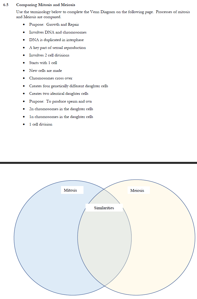 meiosis vs mitosis venn diagram