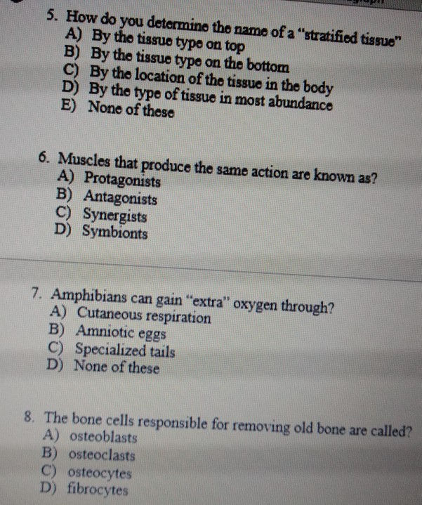 Solved 1. Which of the following is not a type of skeleton? | Chegg.com