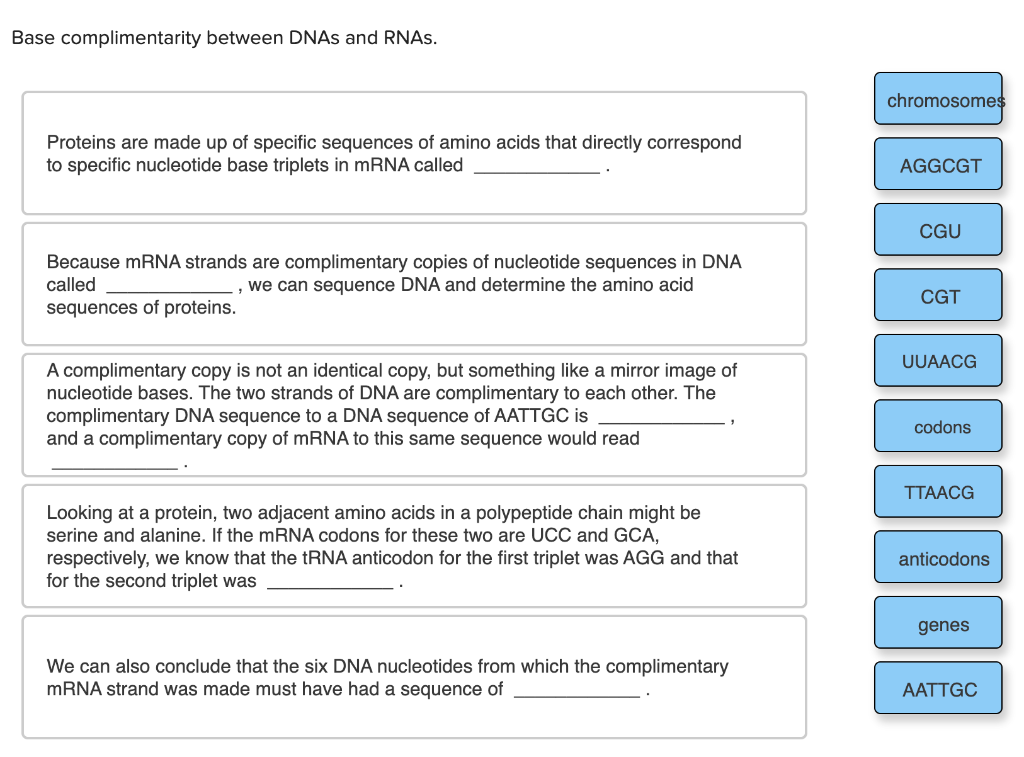 Solved Base complimentarity between DNAs and RNAs. | Chegg.com