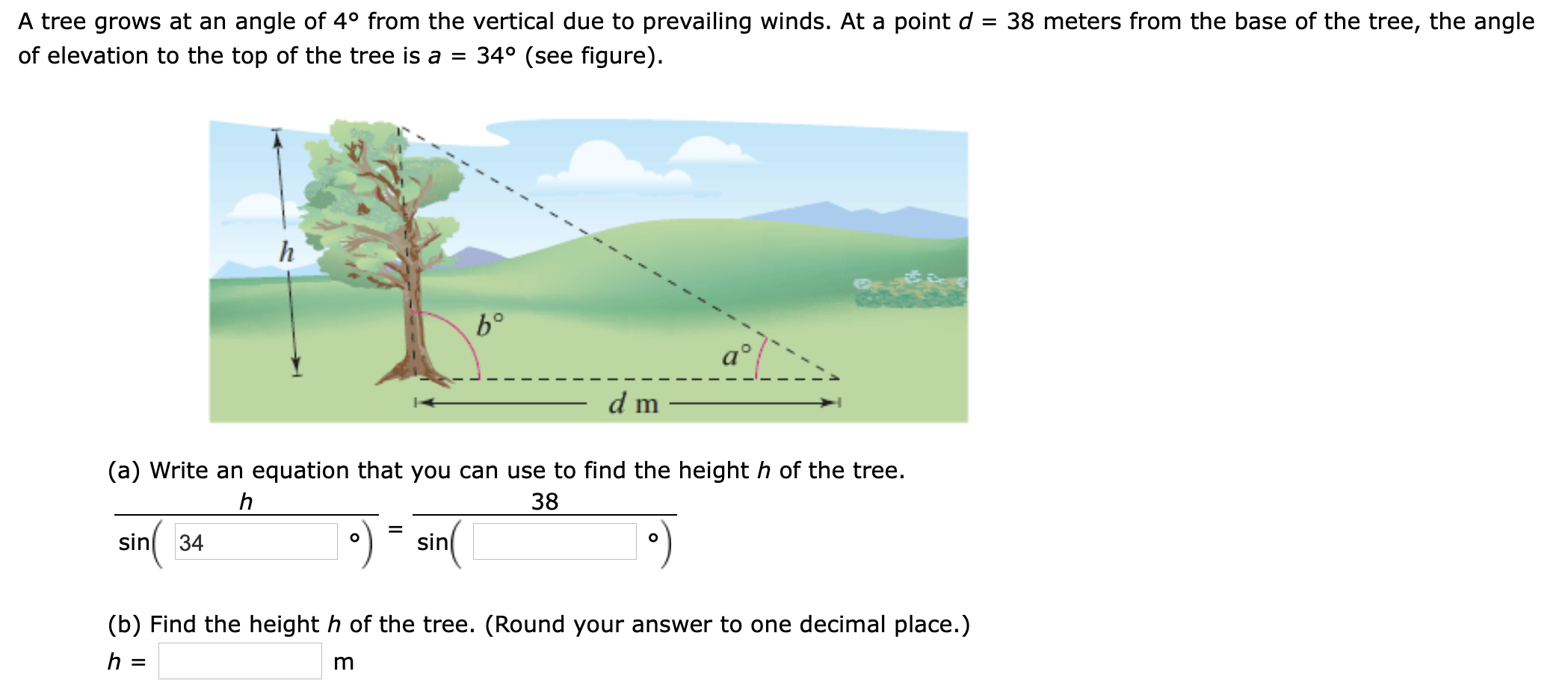 Solved A tree grows at an angle of 4° from the vertical due