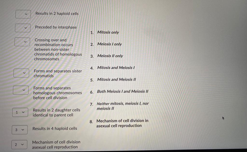 Solved Match the each description with the appropriate cell | Chegg.com