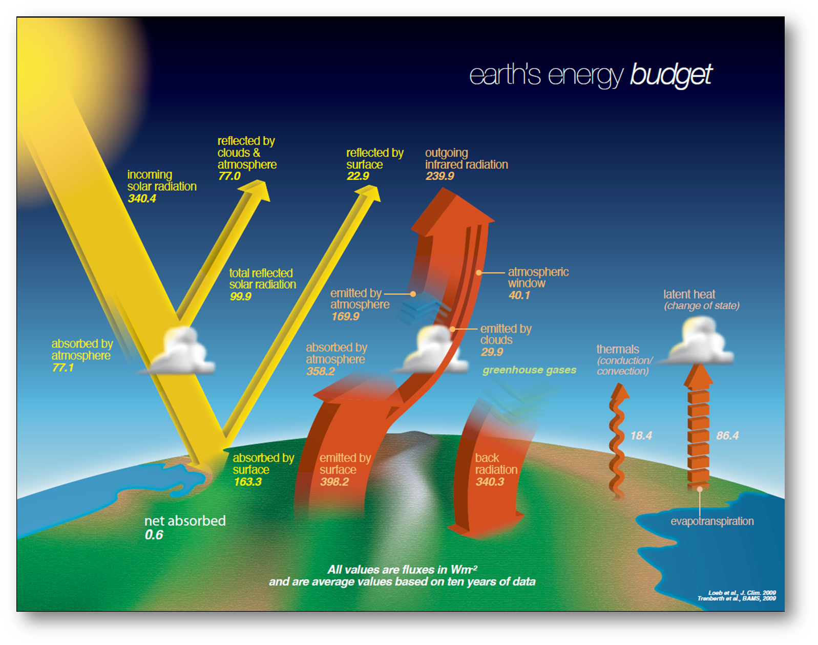 Solved What are incoming and outgoing energy sources in the | Chegg.com
