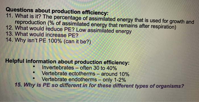 Solved Questions About Production Efficiency: 11. What Is | Chegg.com