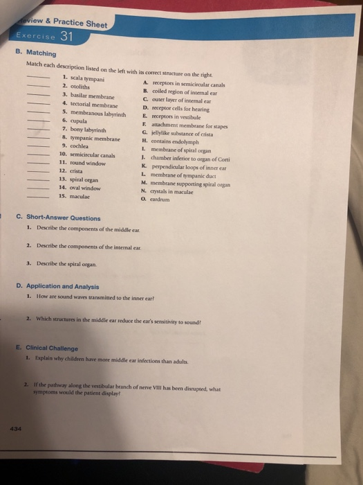 Solved Now available in MasteringA&P. Review &Practice Sheet | Chegg.com