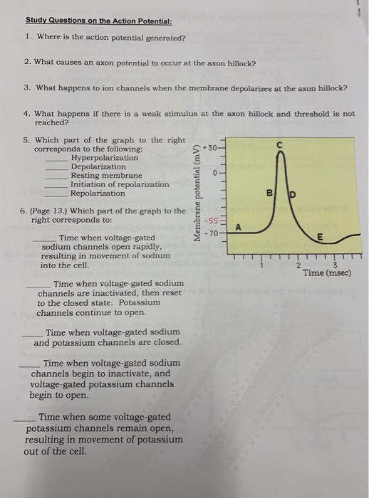 axon threshold for action potential