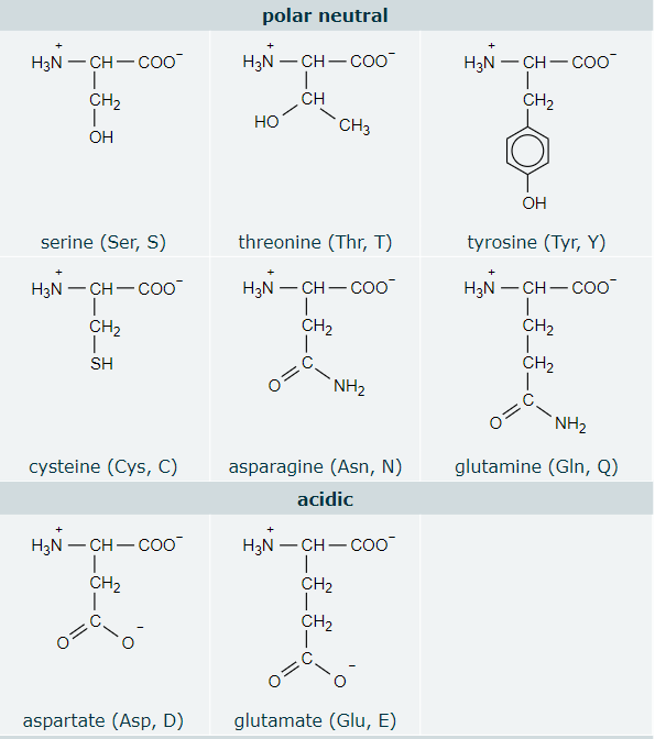 Solved Write the name of a naturallyoccuring hydrophobic