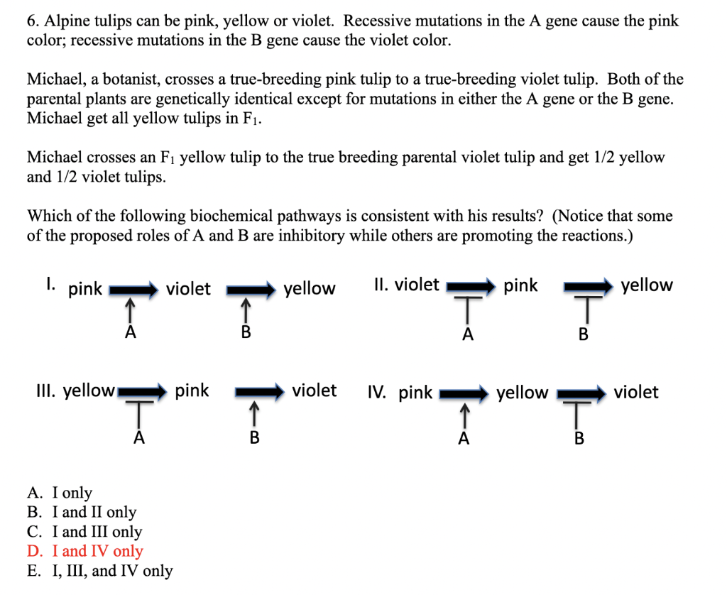 Solved Could you give me a detailed explanation why D is a | Chegg.com
