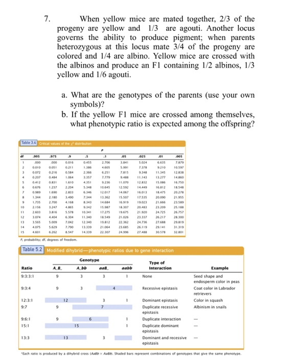 Solved , When yellow mice are mated together, 2/3 of the