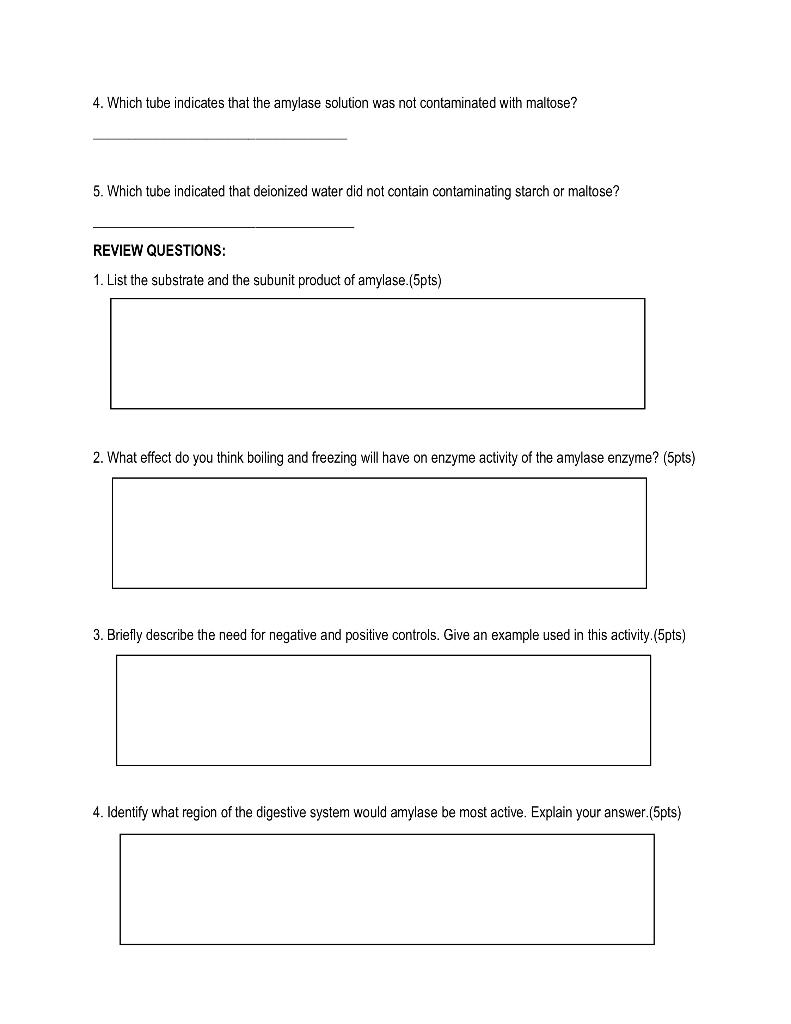 Solved WORKSHEET ASSESSING THE DIGESTION OF STARCH BY | Chegg.com