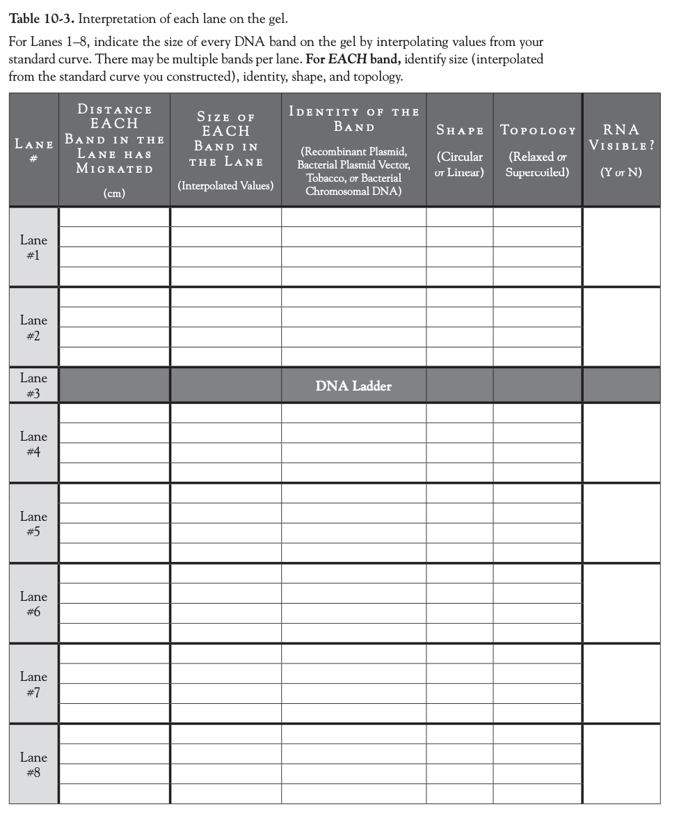 LAB REPORT CHAPTER 10 RESTRICTION ENDONUCLEASE
