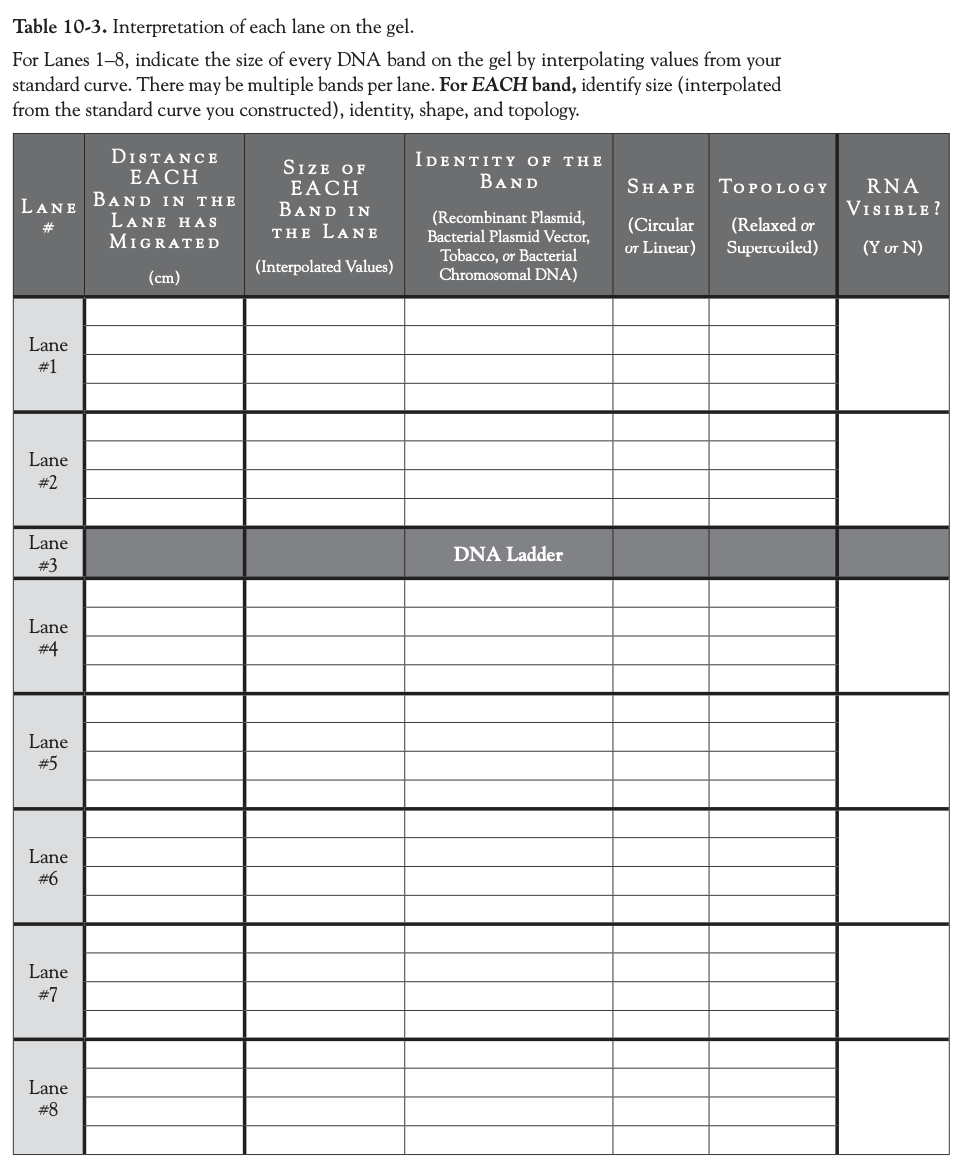 LAB REPORT: CHAPTER 10 RESTRICTION ENDONUCLEASE | Chegg.com