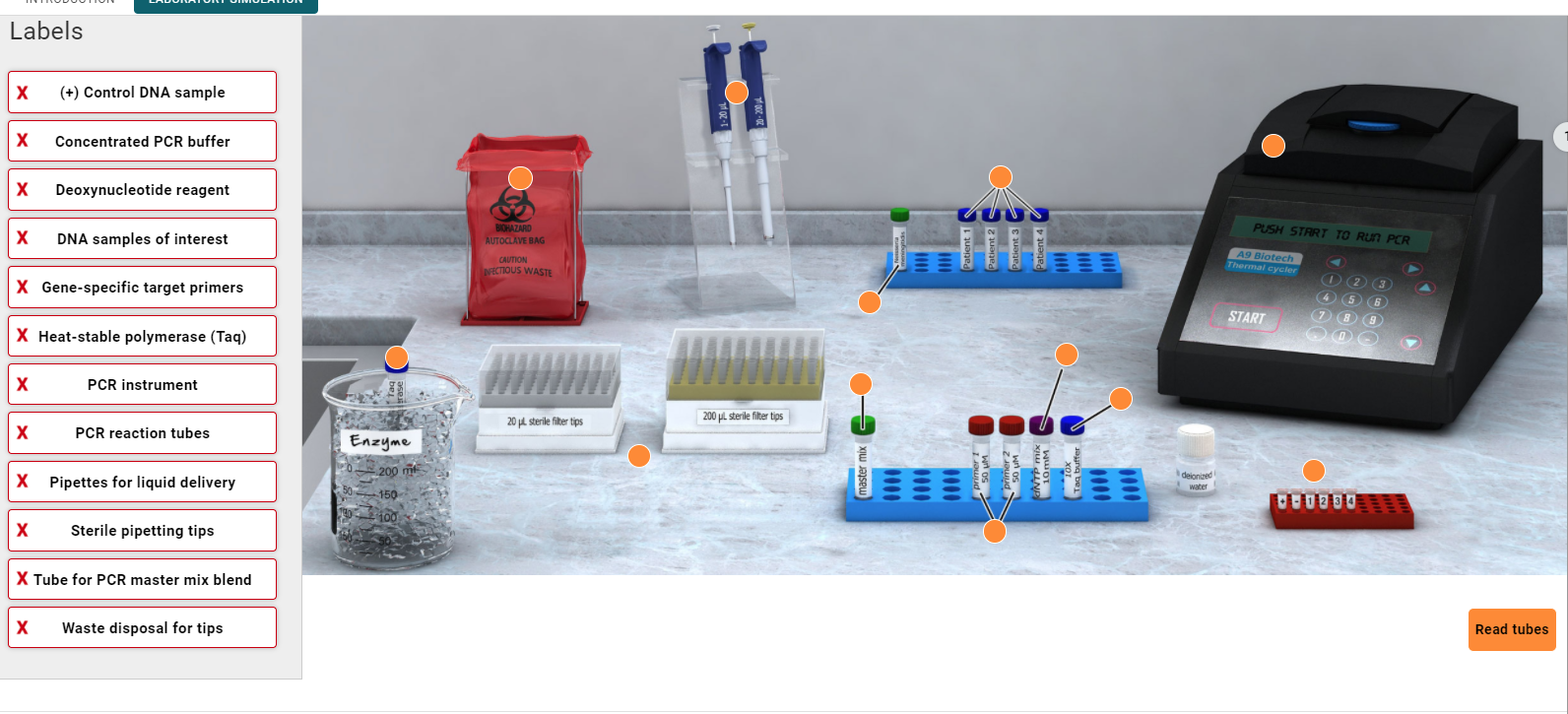 Solved Labels X (+) Control DNA sample X Concentrated PCR