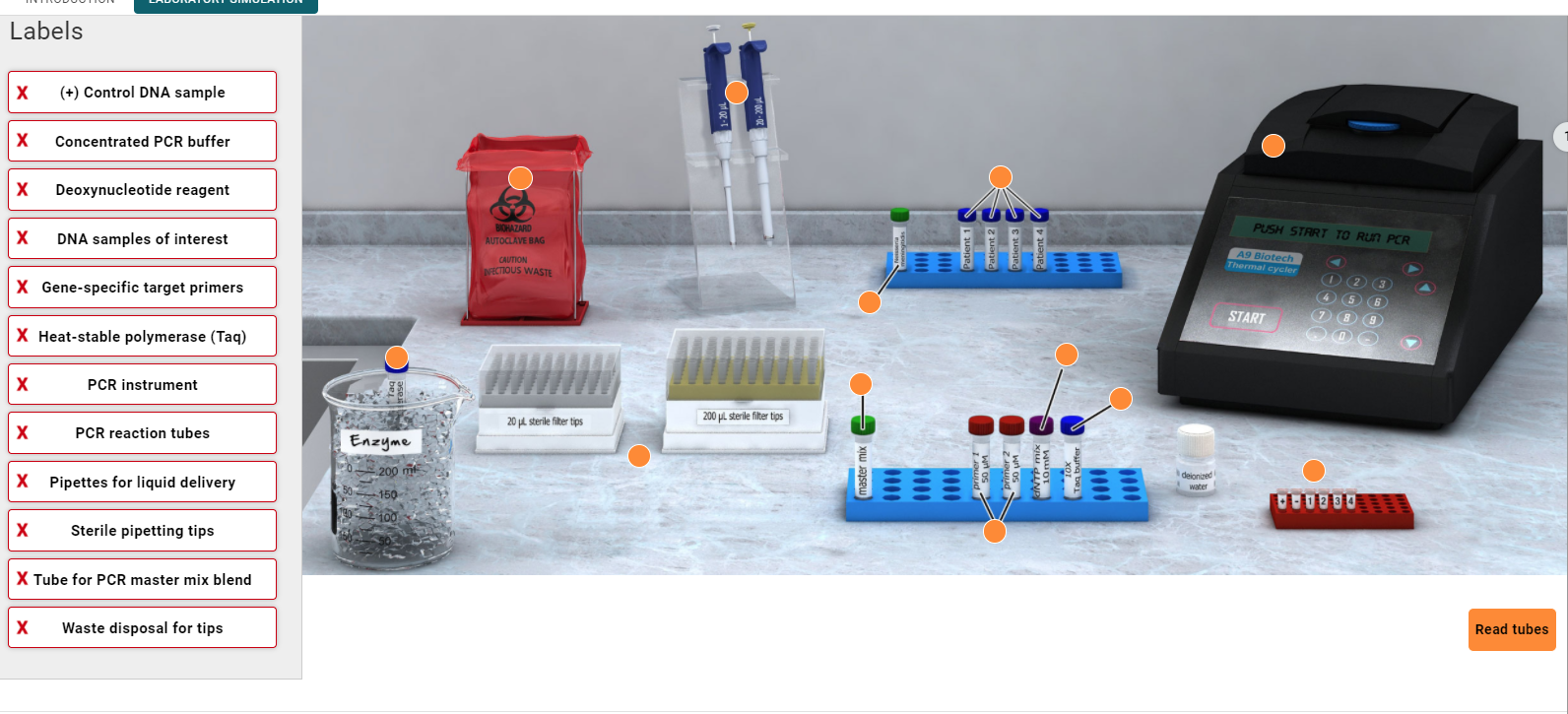 Solved Labels X Control Dna Sample X Concentrated Pcr Chegg Com