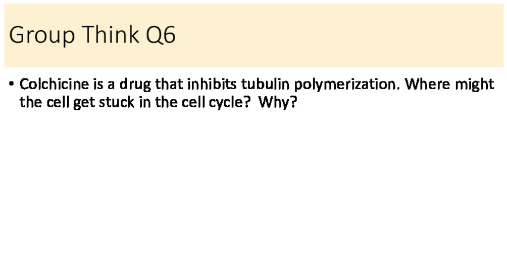 solved-group-think-q6-colchicine-is-a-drug-that-inhibits-chegg