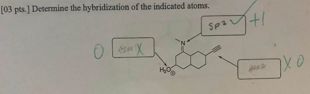 Solved [03 pts.] Determine the hybridization of the | Chegg.com