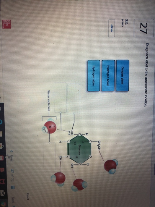 Solved Drag each label to the appropriate location 27 3.12 | Chegg.com image.
