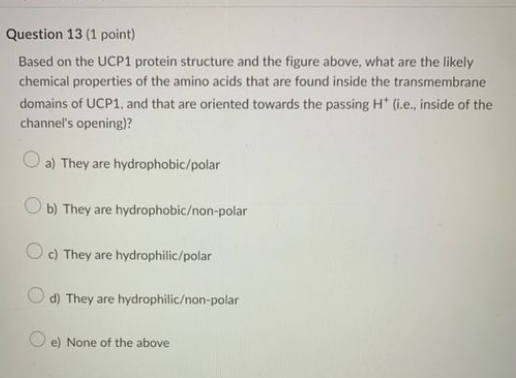 Based on the UCP1 protein structure and the figure above, what are the likely chemical properties of the amino acids that are