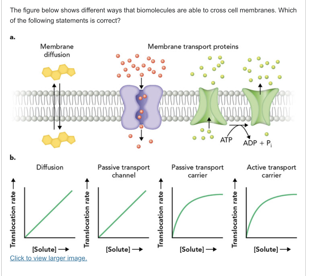 Solved The figure below shows different ways that