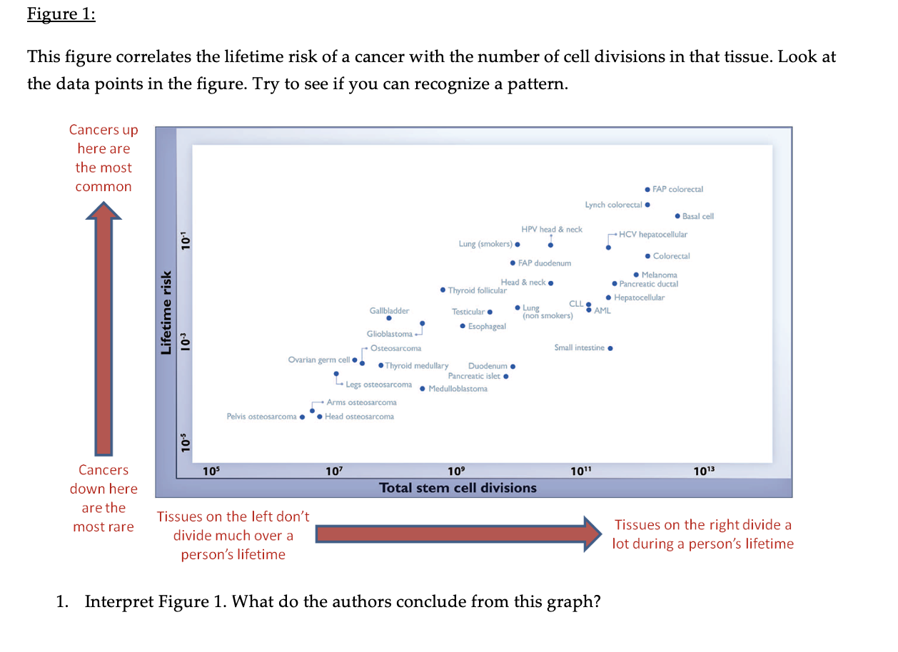 solved-interpret-figure-1-what-do-the-authors-conclude-from-chegg