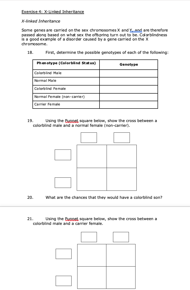 Solved Exercise 4: X-Linked Inheritance X-linked Inheritance | Chegg.com