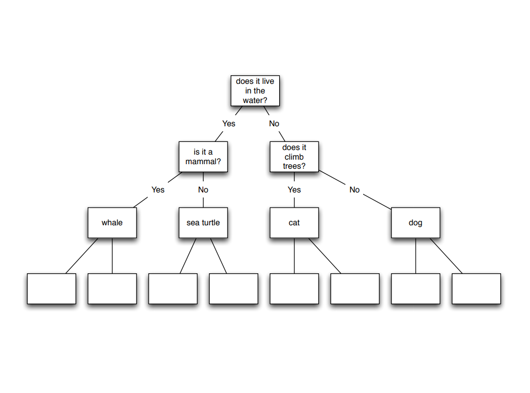 Solved Python Binary search tree: The computer has built the | Chegg.com