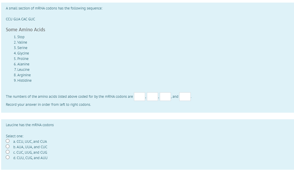 Solved A small section of mRNA codons has the following | Chegg.com