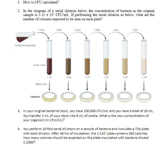 solved-1-how-is-cfu-calculated-2-in-the-diagram-of-a-chegg