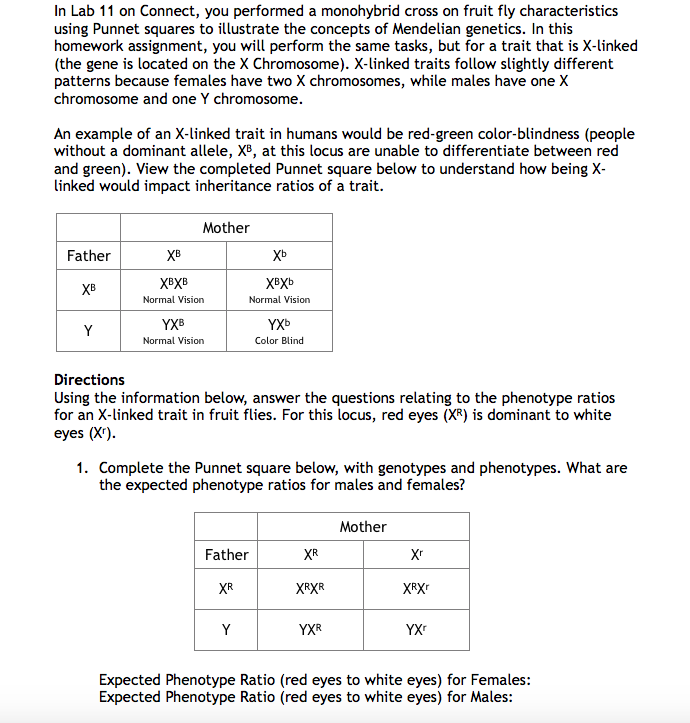 In Lab 11 On Connect You Performed A Monohybrid Chegg Com