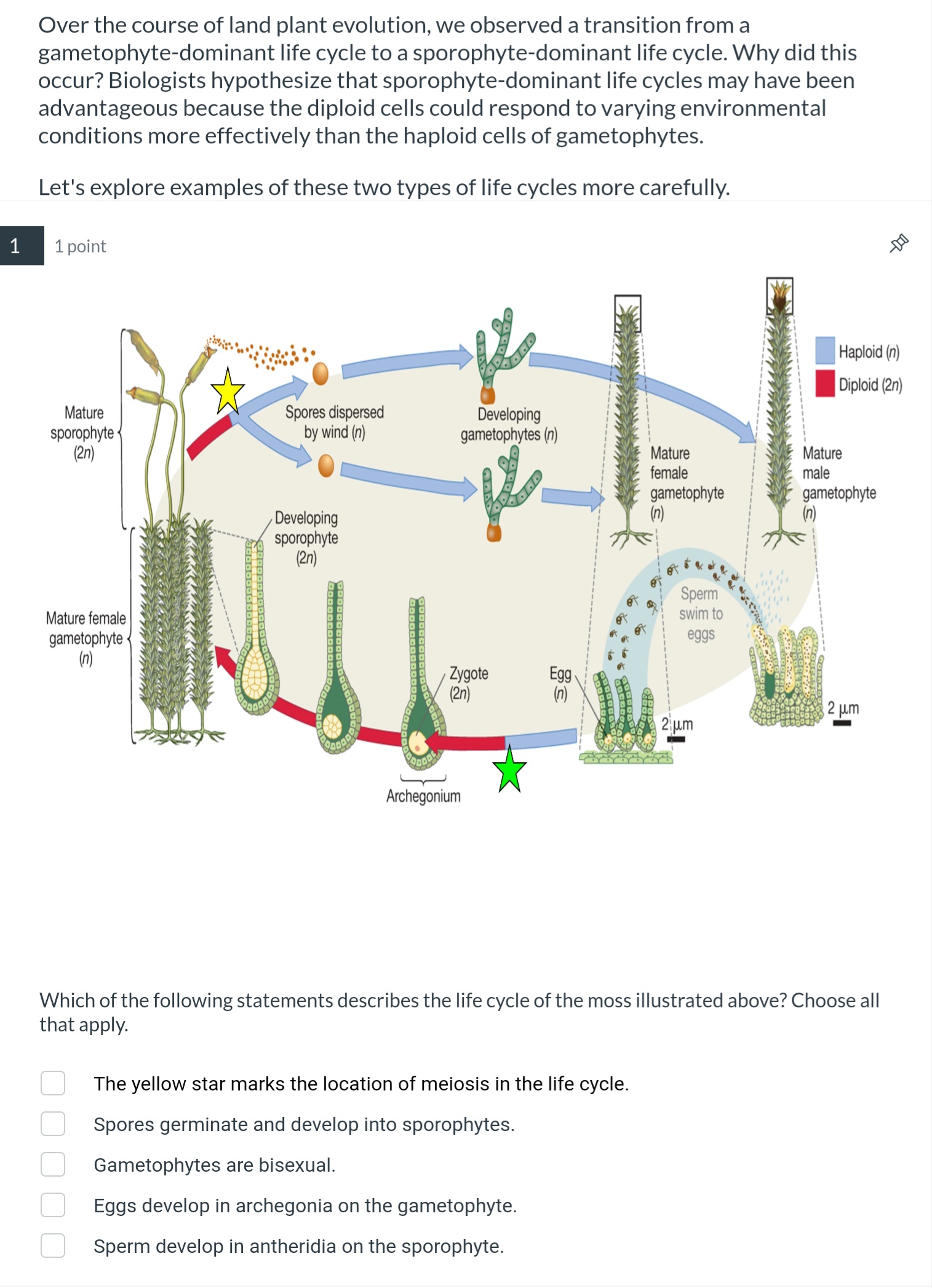 Solved Over the course of land plant evolution, we observed | Chegg.com