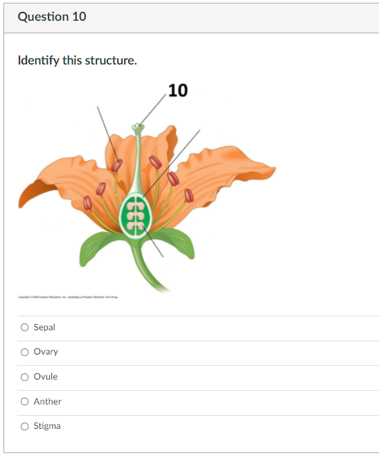 Solved Question 1 Is this a Monocot or a Eudicot Flower? | Chegg.com