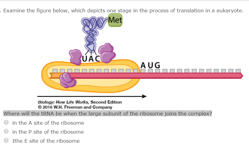 Solved Examine the fiqure below, which depicts one stage in | Chegg.com