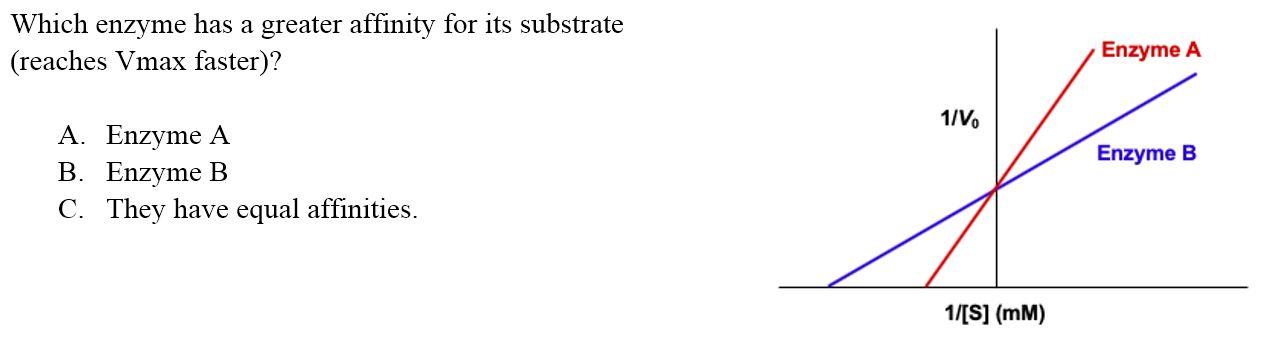 Solved Which enzyme has a greater affinity for its substrate | Chegg.com