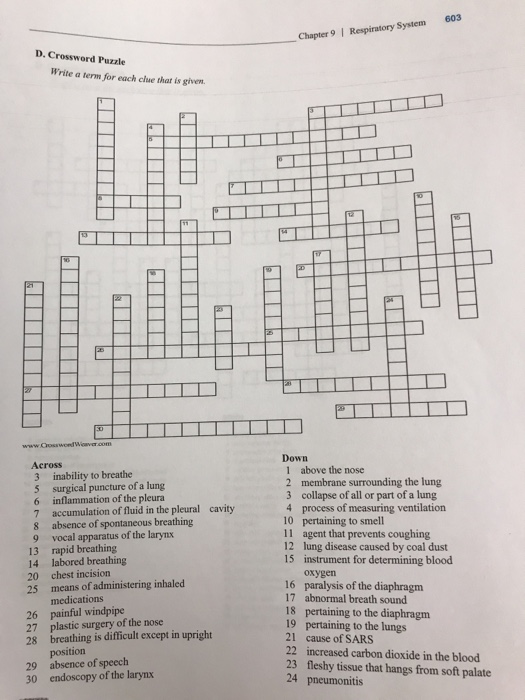 Solved 603 Chapter 9 Respiratory System D Crossword Chegg com