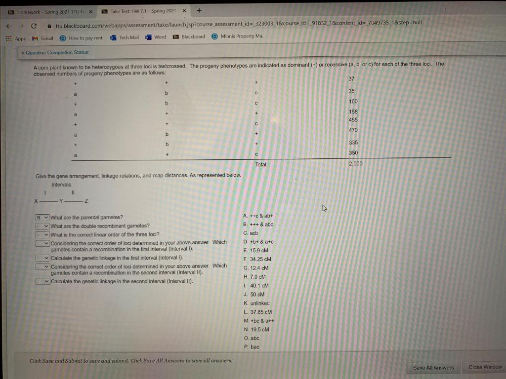 10 Homework Spring 21 Ttu Fl X Take Test Hw 7 Chegg Com