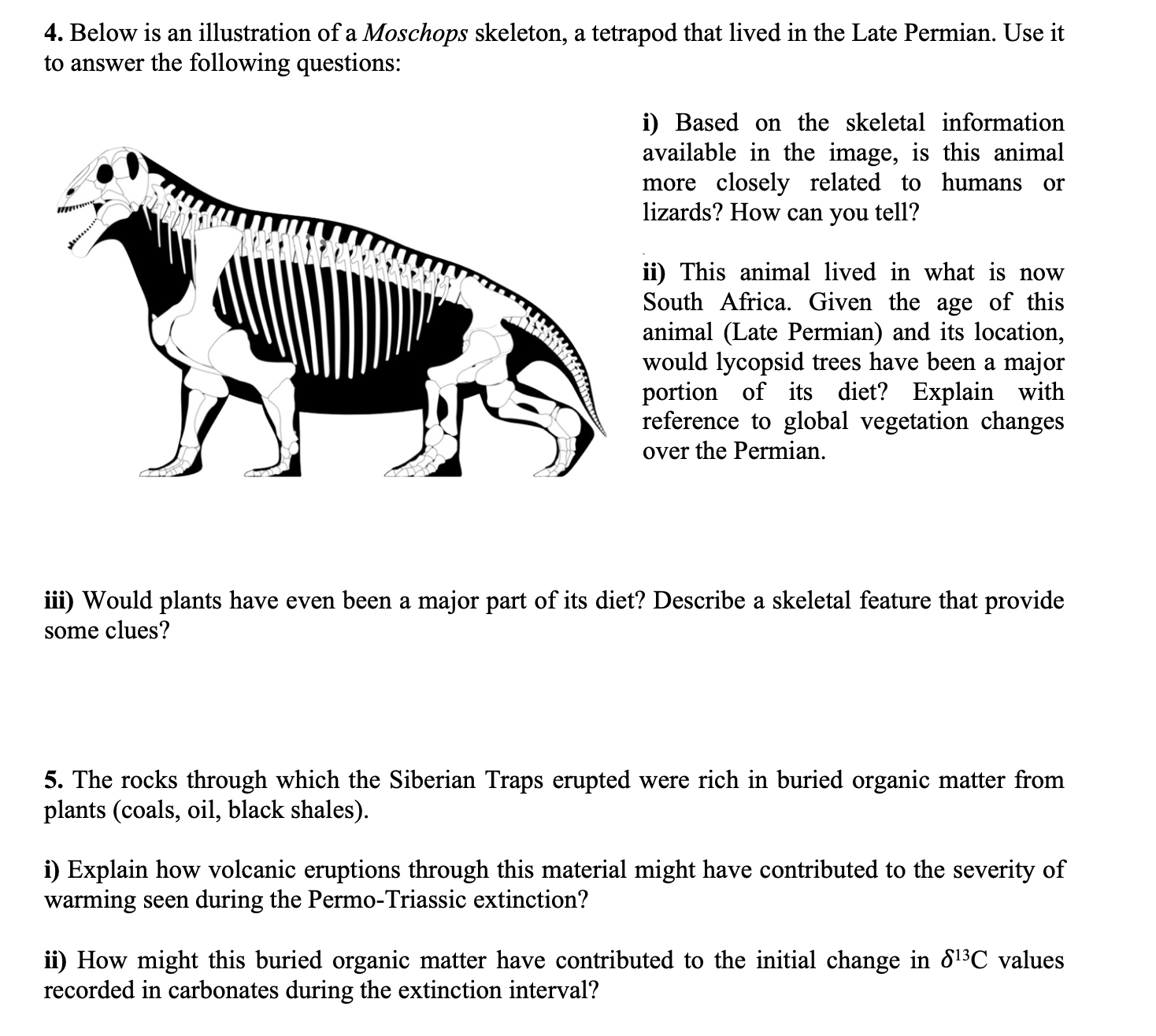 Solved 4. Below is an illustration of a Moschops skeleton, a | Chegg.com