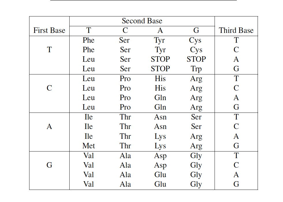 (5 pts) The following constitutes the first 20 codons | Chegg.com