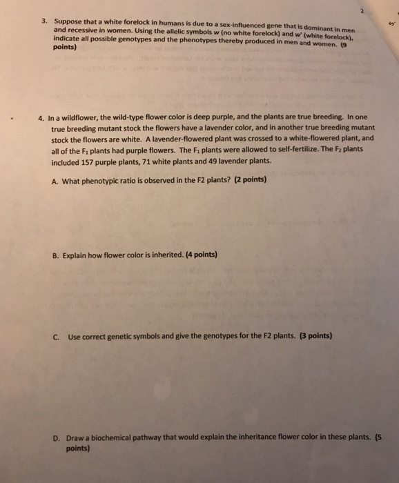 Solved Can someone work this out instead of just givinf the | Chegg.com