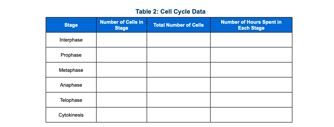 Solved Table 2: Cell Cycle Data Stage Number of Cells in | Chegg.com