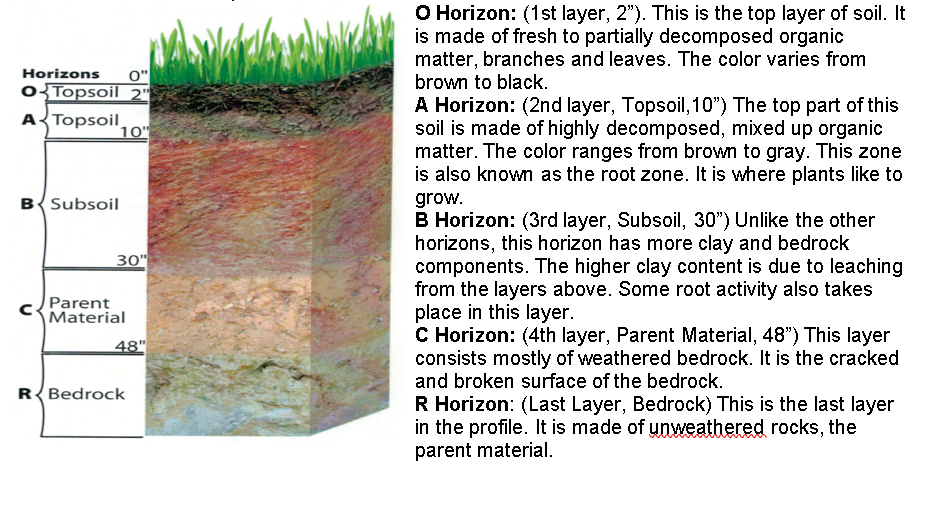 science-4-types-of-soil-and-its-characteristics-youtube