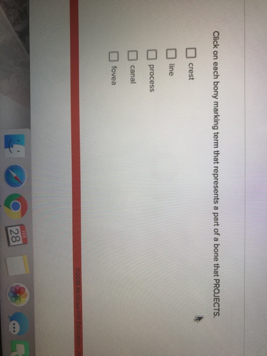 Solved Blackboard Learn Ei Elite Pr emiunFina Riyof