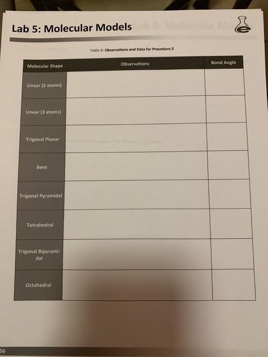 Solved Lab 5 Molecular Models Concepts to explore
