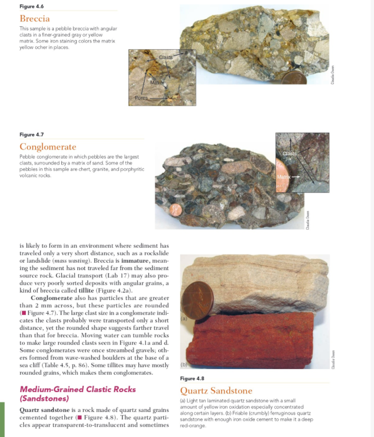 Solved LAB 4 Sedimentary Rocks OBJECTIVES To Understand How | Chegg.com