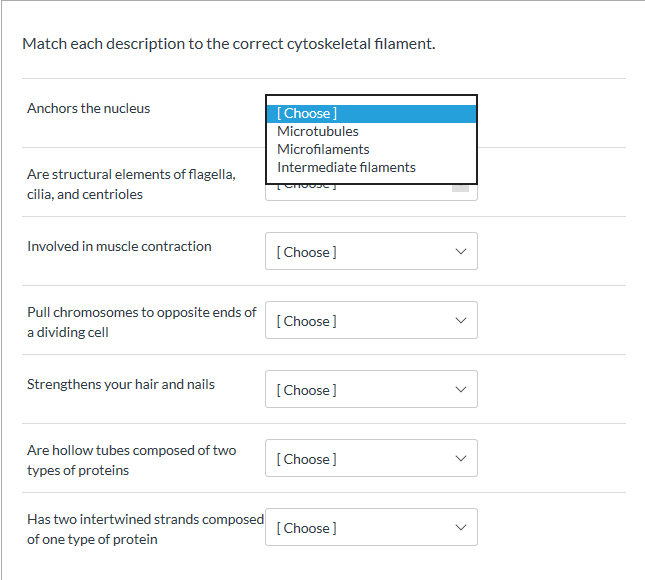 Match Each Description To The Correct Cytoskeletal Chegg  Match Each Description To The Correct Cytoskeletal Chegg