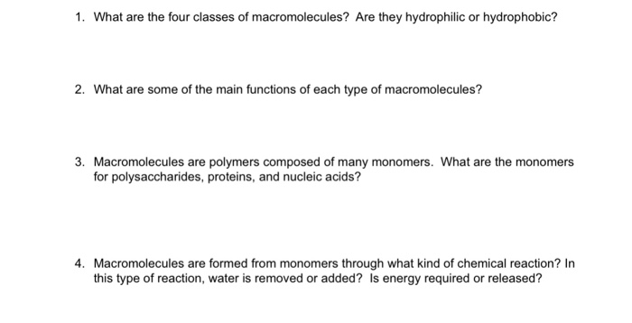 name the 4 classes of macromolecules and their functions