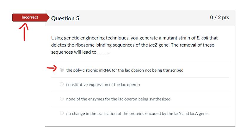 Solved Using genetic engineering techniques, you generate a | Chegg.com