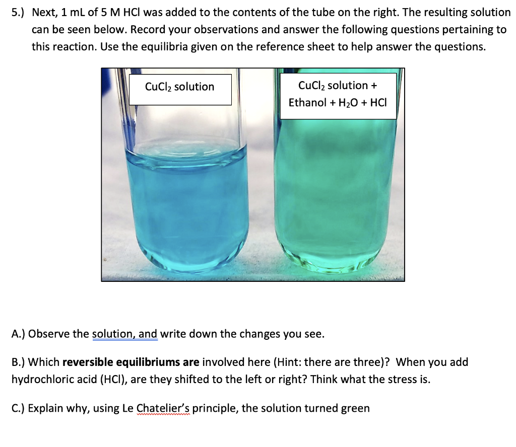 In the following experiment you will observe an | Chegg.com