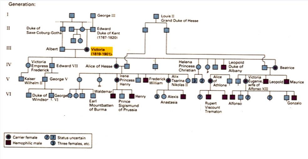 Solved Below is a pedigree chart of Queen Victoria and | Chegg.com