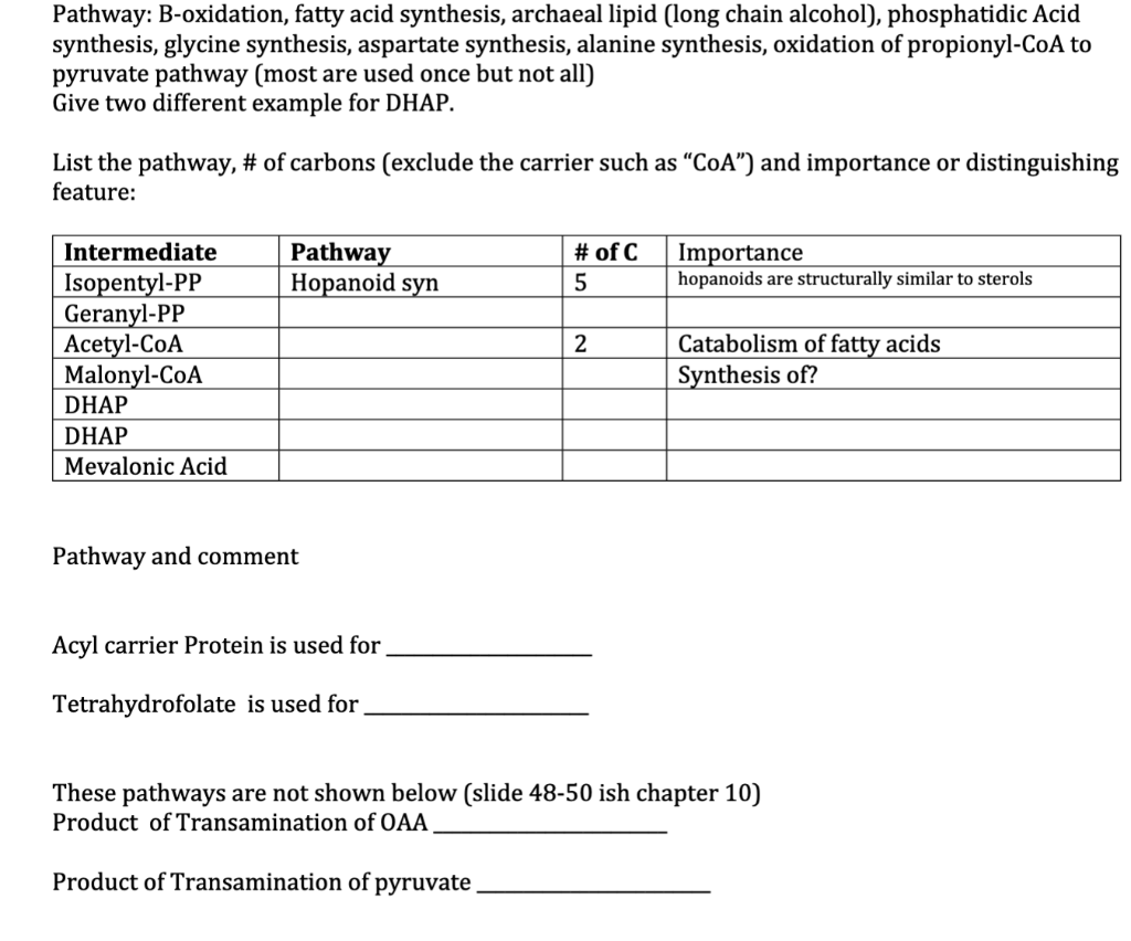 Solved Pathway: B-oxidation, fatty acid synthesis, archaeal | Chegg.com