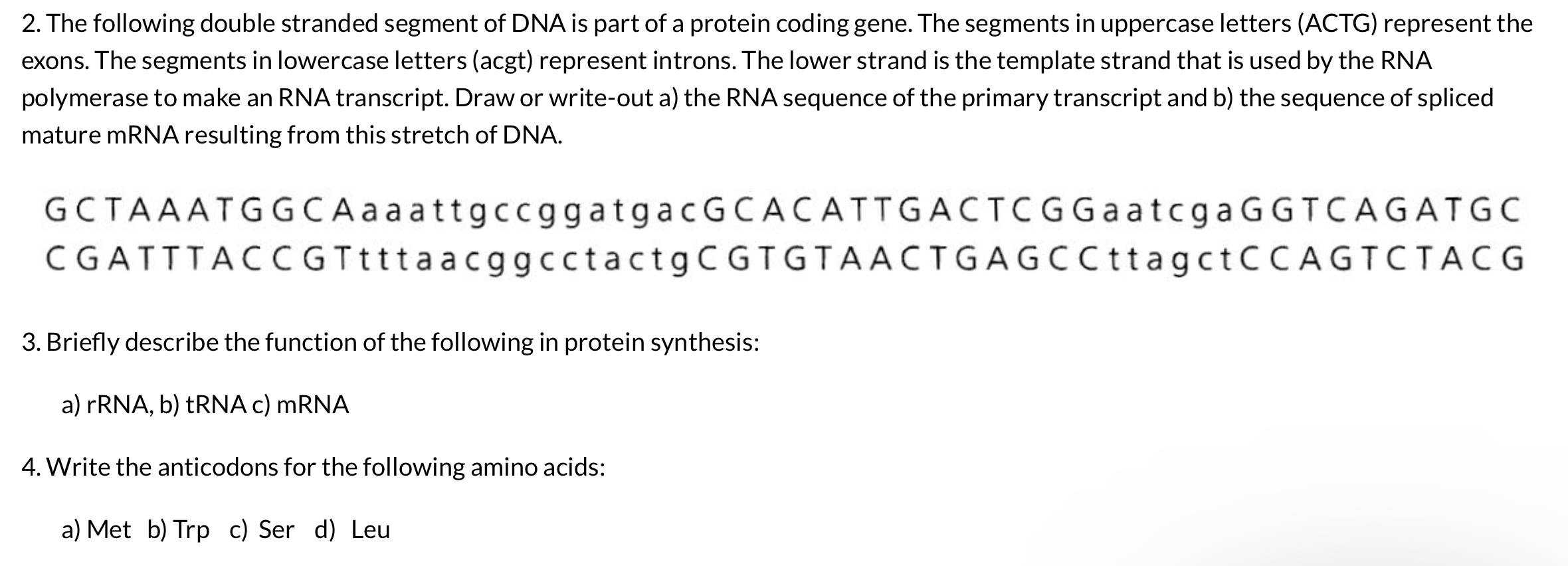 Solved 2. The following double stranded segment of DNA is | Chegg.com